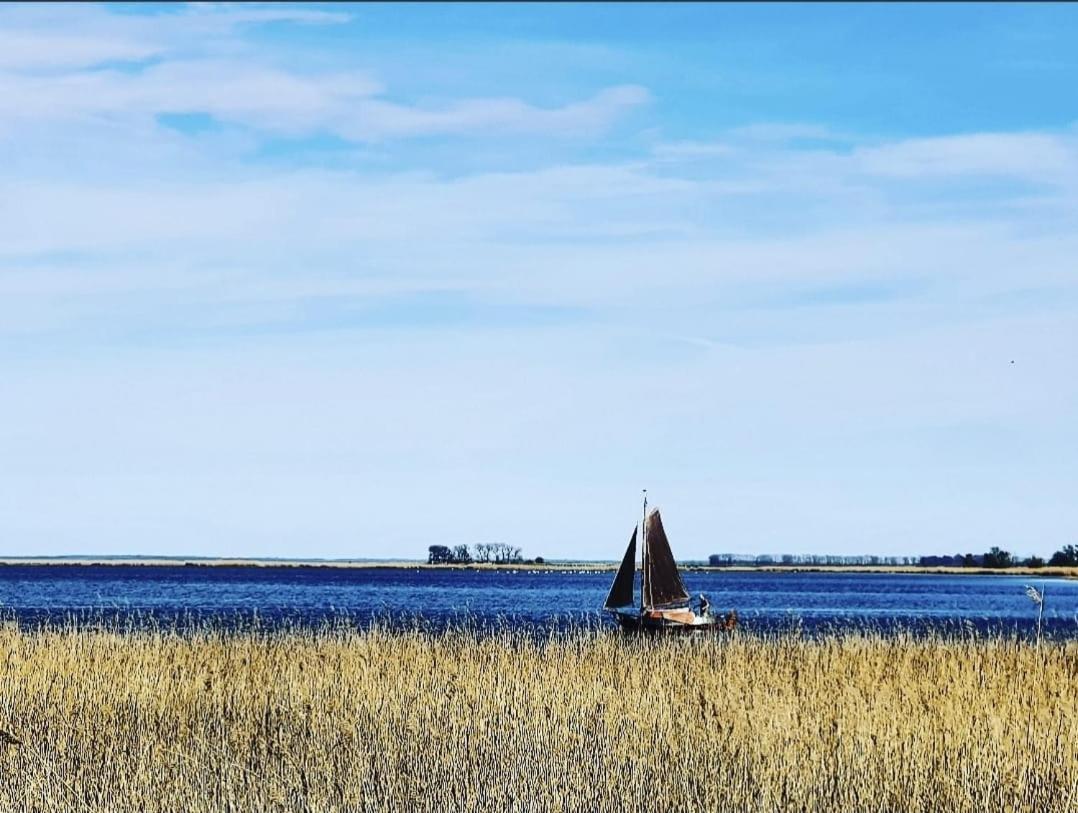 Zingst Achtern Diek 12D Elly Esterno foto